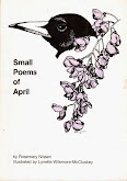 My second book, 1992