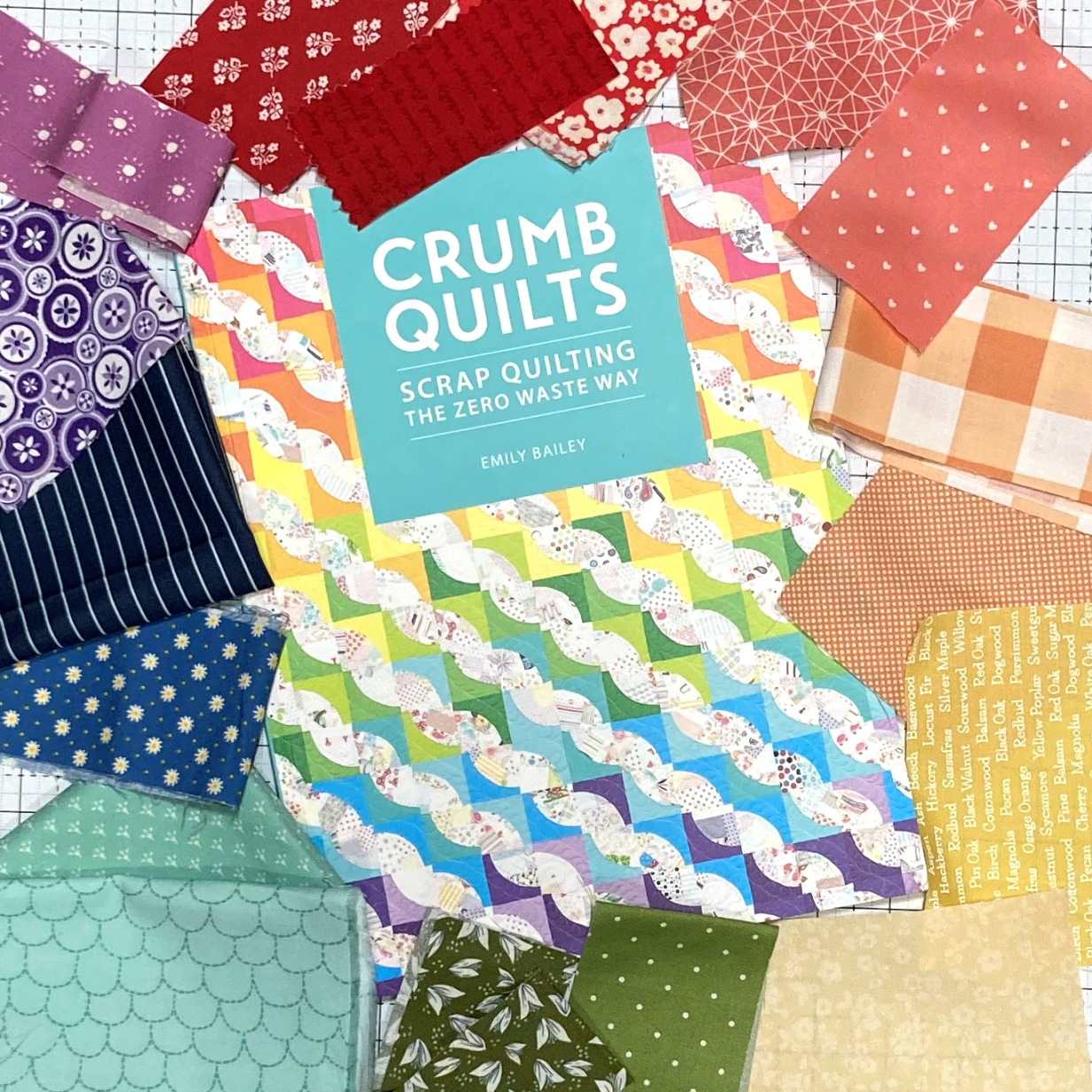 Happy Quilting Crumb Quilts by Emily Bailey