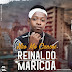 DOWNLOAD MP3 : Reinaldo Maricoa - Não Me Cansei (2020)