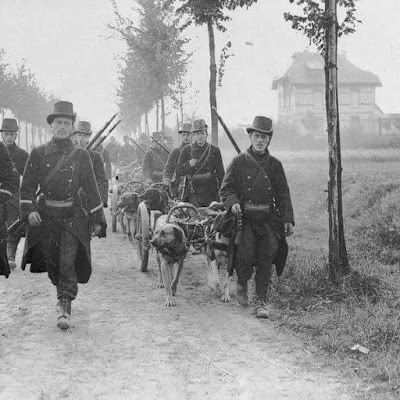 alt="soldados belgas con perros de tiro durante la gran guerra"