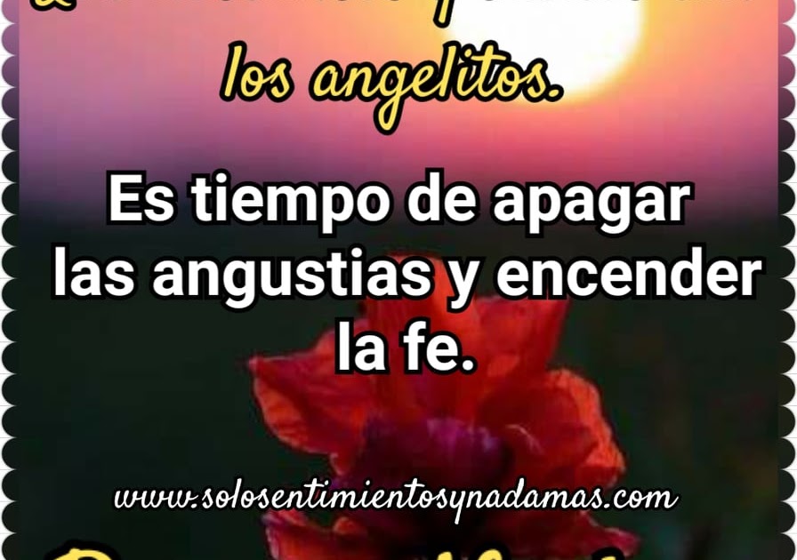 Ver las imágenes de origen
