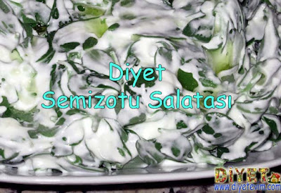 diyet salata tarifleri