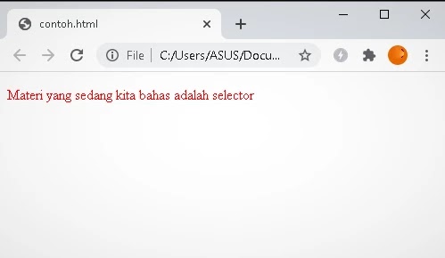 Jenis-jenis selector pada CSS tag selector