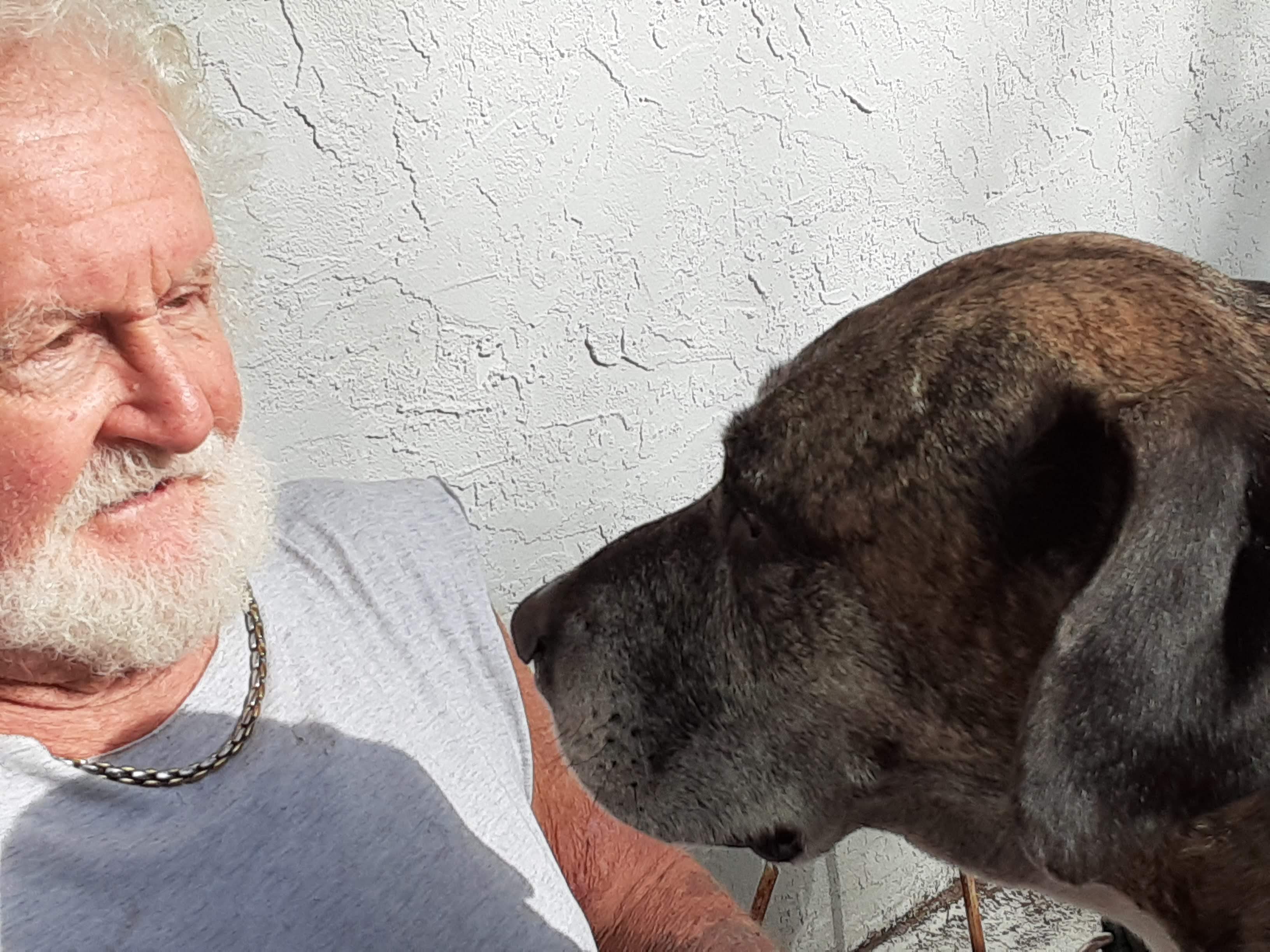 Four Paws Etc Beau Beaumont