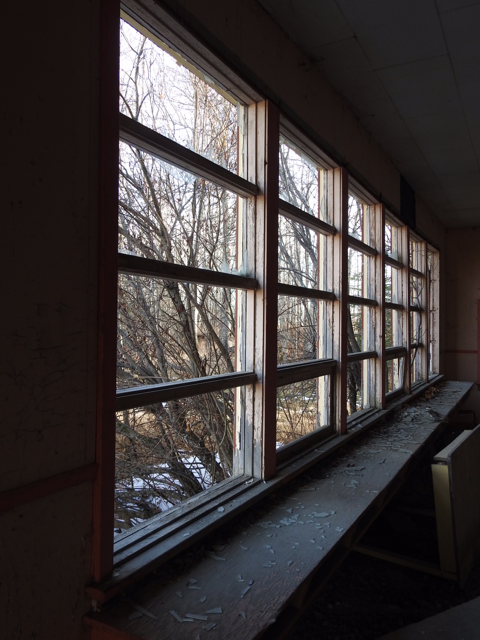 The view from here Foley Timber School 1937 1952