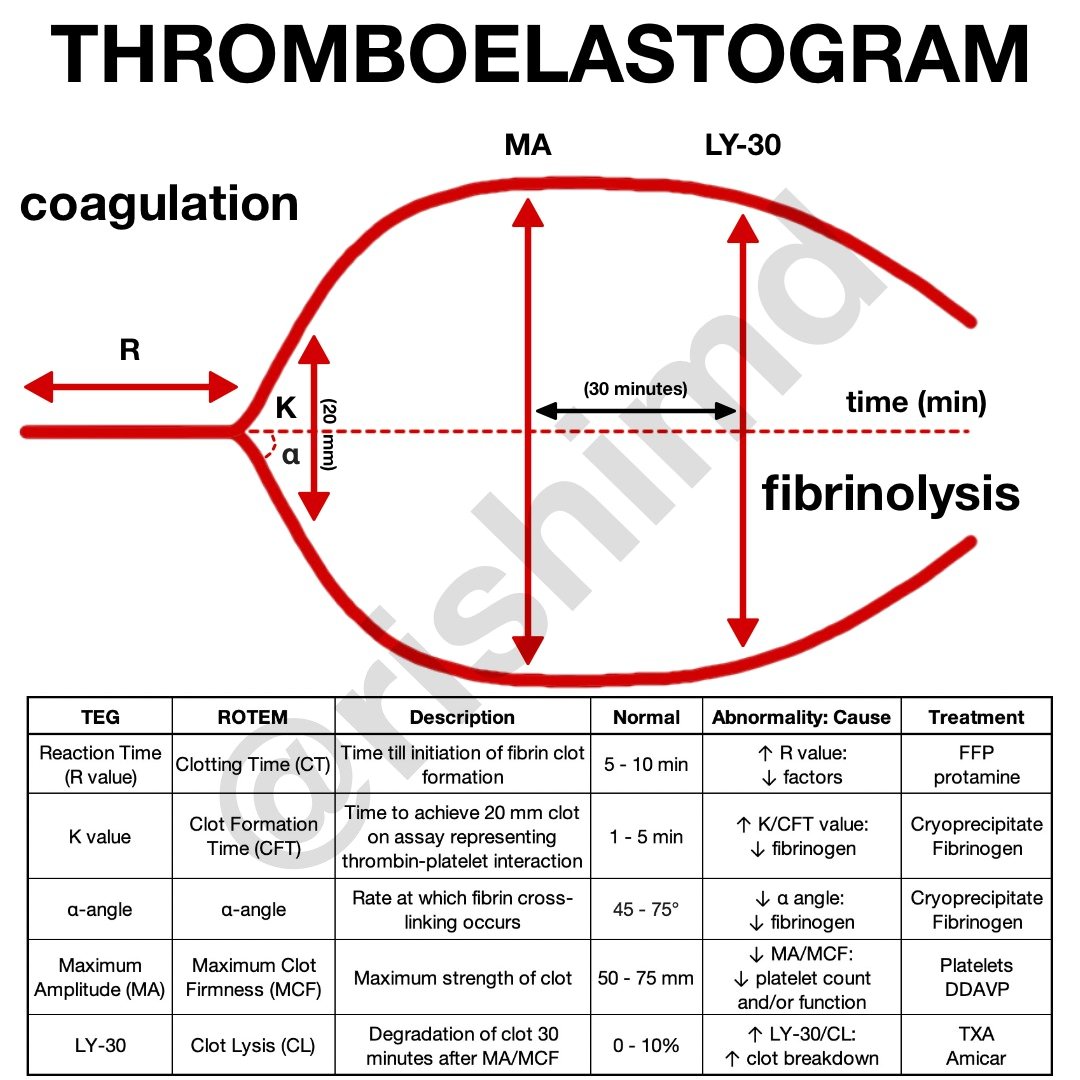 Thromboelastogram tiago-pzk-gotti-a-tour-nov-7-how-do-you-atlanta