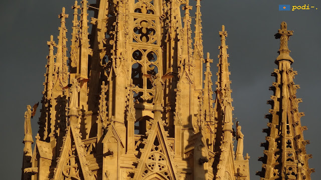 catedral de barcelona