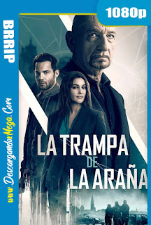 La Trampa de la Araña (2019) HD 1080p Latino
