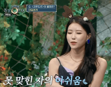 러블리즈 신비한 동물퀴즈 미주