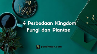 4 Perbedaan Kingdom Fungi dan Plantae
