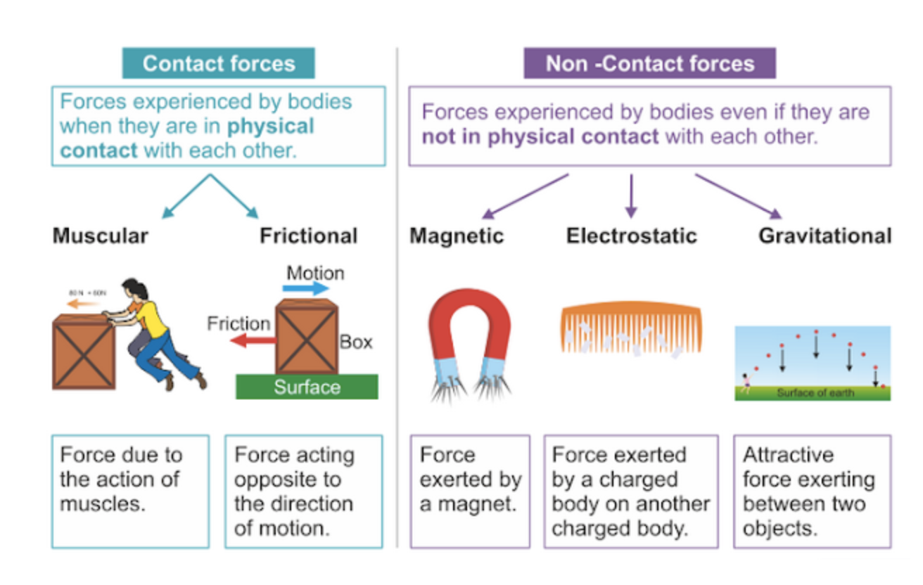 Ms Kwak s Grade 3 Class 18 19 Science Forces And Movements ms-kwak-s-grade-3-class-18-19-science-forces-and-movements