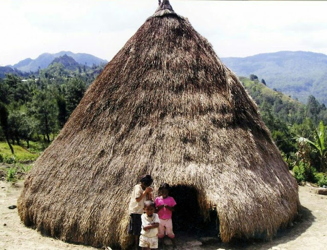 traditional houses in indonesia