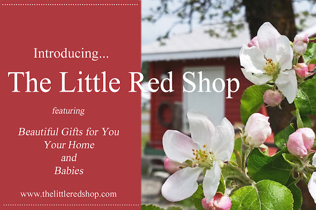 The Little Red Shop Boutique