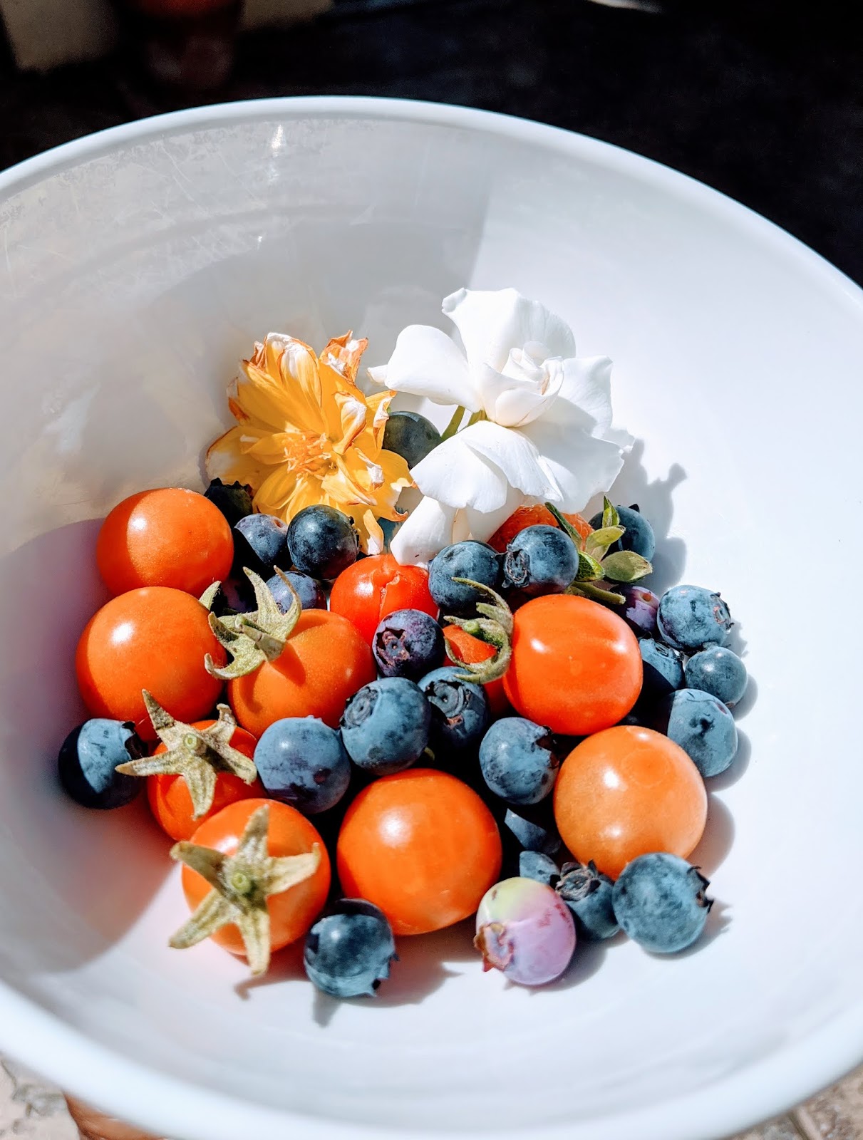 Sun Soil Soak Garden To Plate Blueberry Walnut Chocolate Cake
