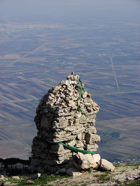 معلومات عن سهل الغاب في سوريا