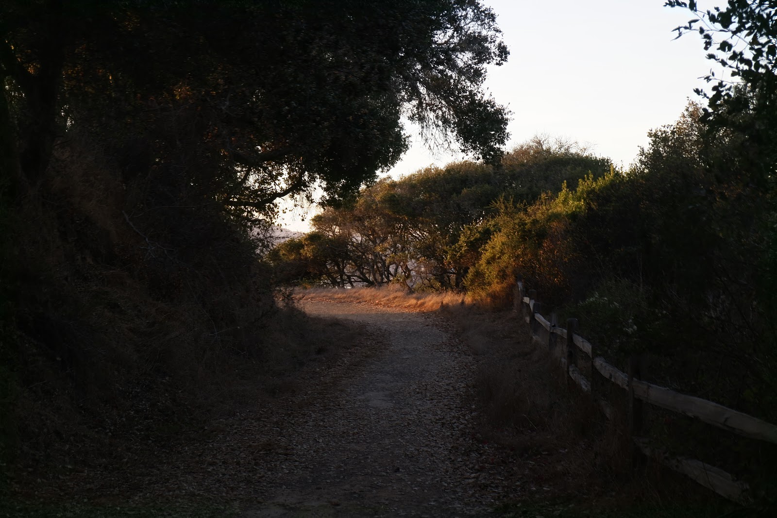 what can you expect from a small island off of California?