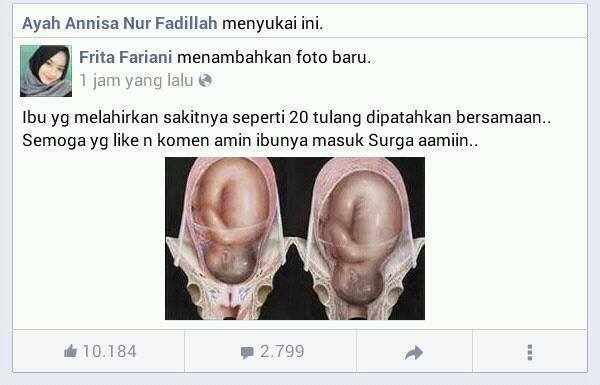 Bayi pasti masuk syurga Bayi Bunga Syurga