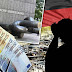 Στήνεται το μεγάλο κόλπο των κατασχέσεων από Γερμανικές τράπεζες