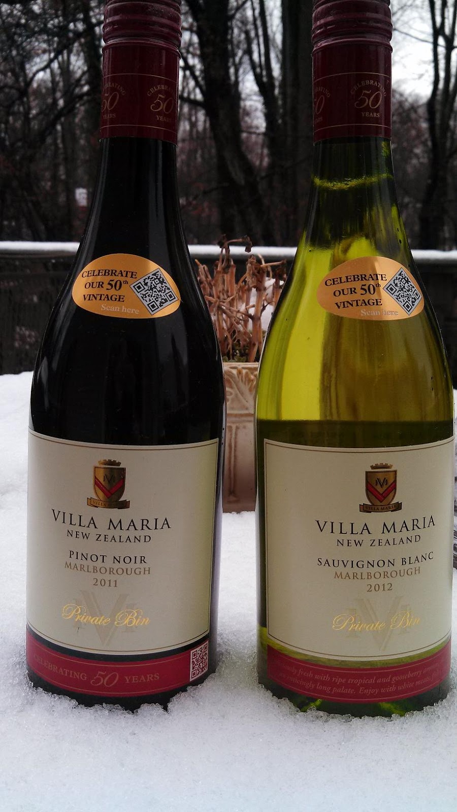 A TGTaste of Villa Maria Estate
