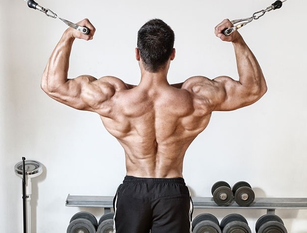 5 Highly Effective Back Workouts - Back Workout for Muscle Mass ...