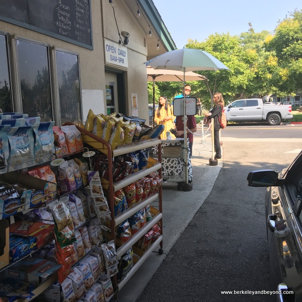 Weekend Adventures Update Pleasanton Meadowlark Dairy; things to do