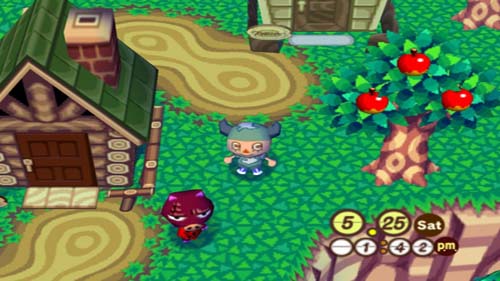 how to get animal crossing city folk rom download