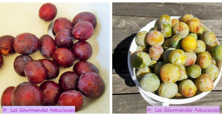 Mes 3 Methodes De Conservation Des Prunes