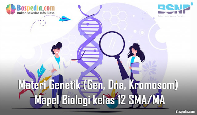 Materi Genetik (Gen, Dna, Kromosom) Mapel Biologi kelas 12 SMA/MA