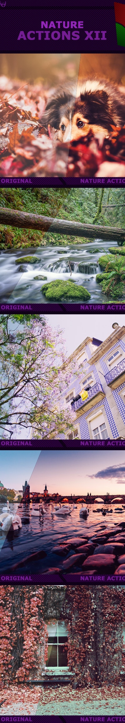Graphicriver - Nature Actions XII 19162546 2 Nature%2BActions%2BXIi