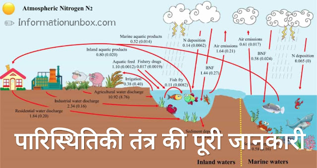 ecosystem-in-hindi ecosystem-in-hindi