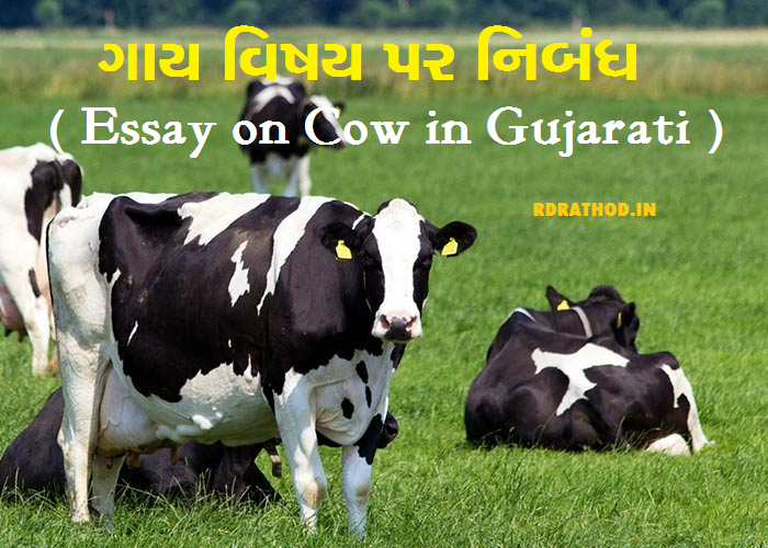 essay on cow in gujarati for class 3