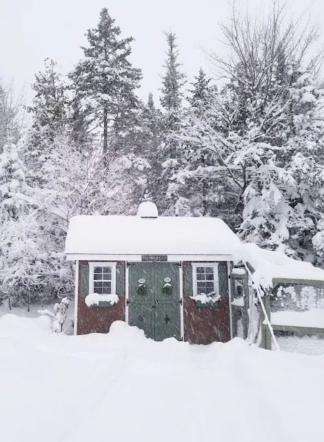 Chicken coop in the snow