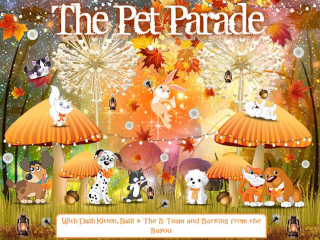 The Pet Parade Autumn Banner 2019 @BionicBasil Dash Kitten & Barking from the Bayou