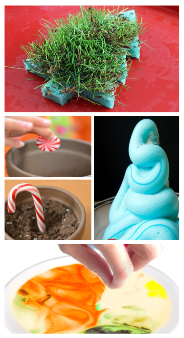 Combine science and Christmas this holiday with these super fun experiments for kids! #christmas #christmasscienceexperimentsforkids #christmasscience #christmassciencepreschool #chrismtasexperimentsforkids #holidayscienceactivitiesforkids #holidayscience #christmascrafts #growingajeweledrose #activitiesforkids