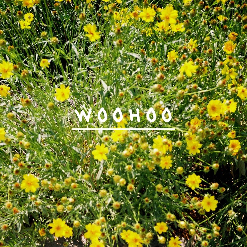 hwang puha – Woohoo – Single