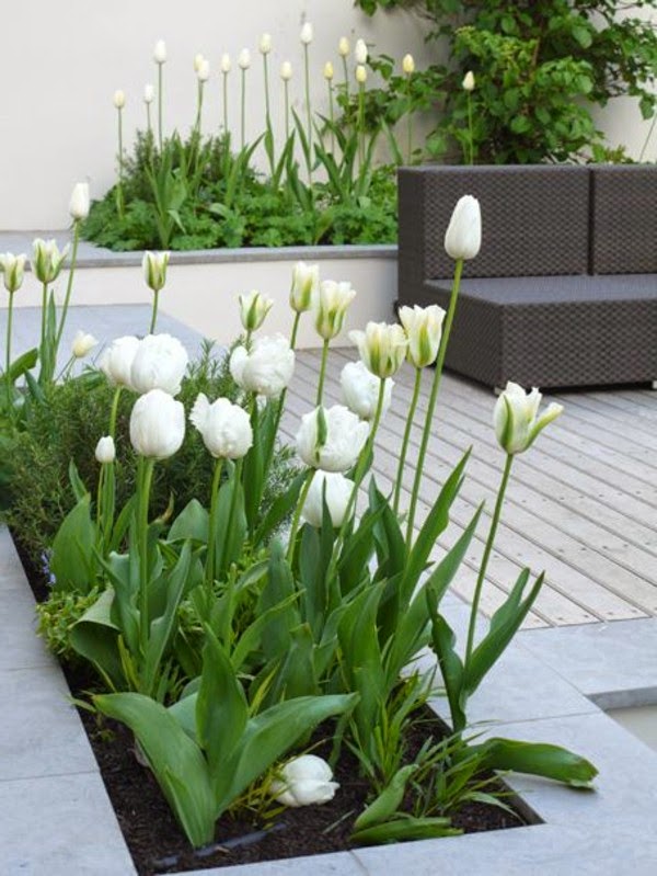 Terrace garden – beautiful design ideas!