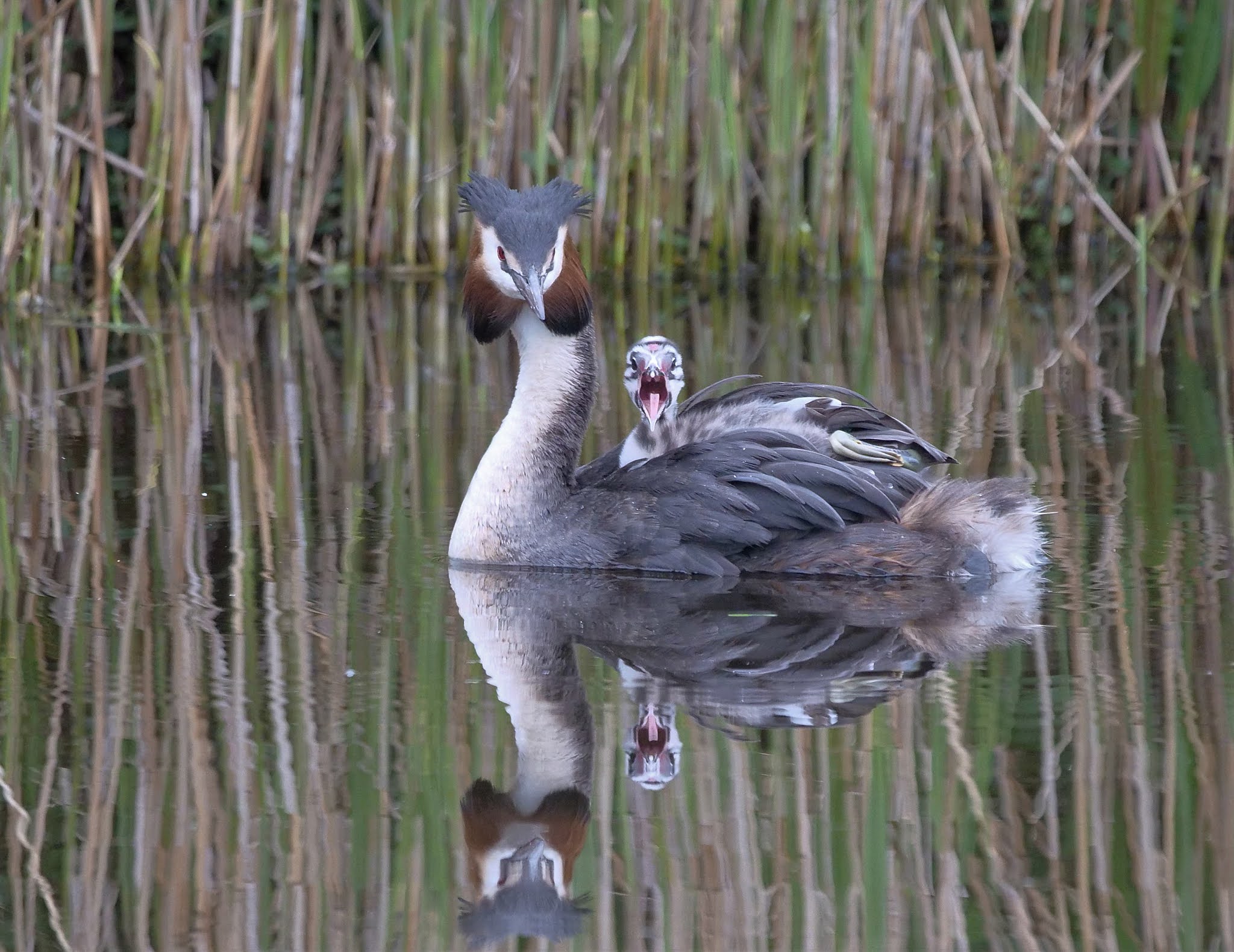 AMSTERDAMSE WATERLEIDINGDUINEN AWD: Er is meer tussen hemel en aarde