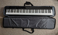 Casio PXS gig bag picture