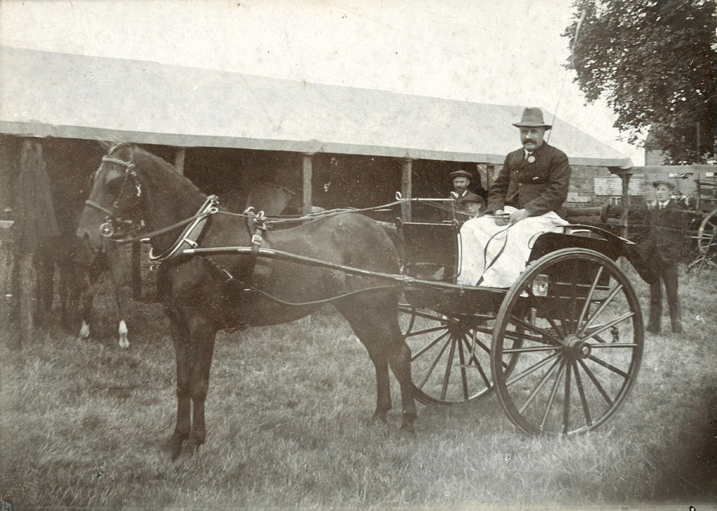 Horse and Buggy One of the Common Transports Before 1900 Vintage