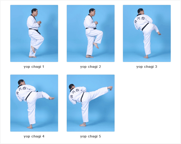 Gerakan Dasar Taekwondo (Basic Movements) ~ DEMOS Martial ARTS School