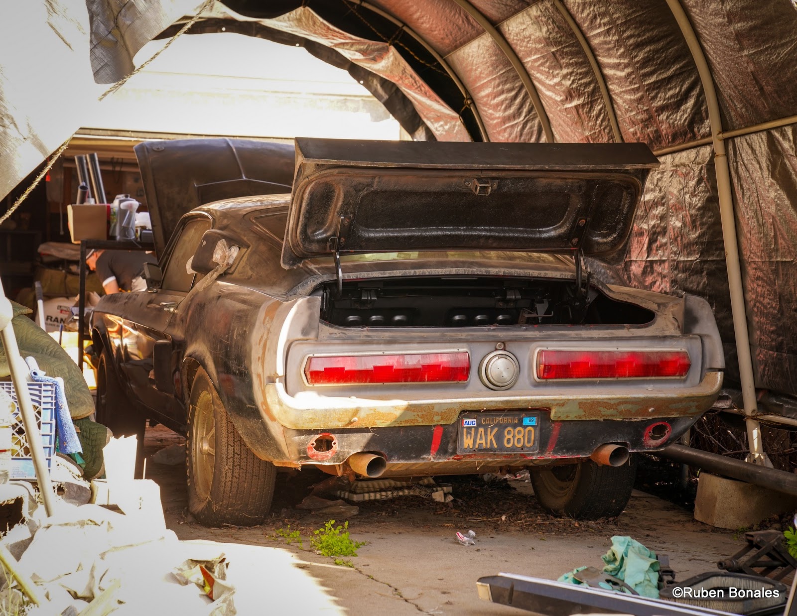 Virginia Classic Mustang Blog March 2019