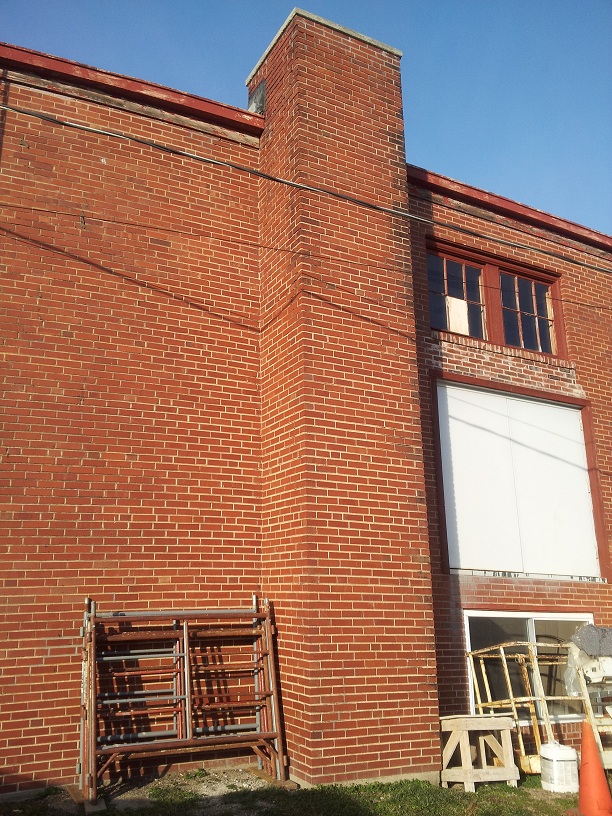 Wildbirds Broadcasting January 2013