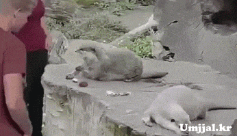 Umjjal_kr_064.gif