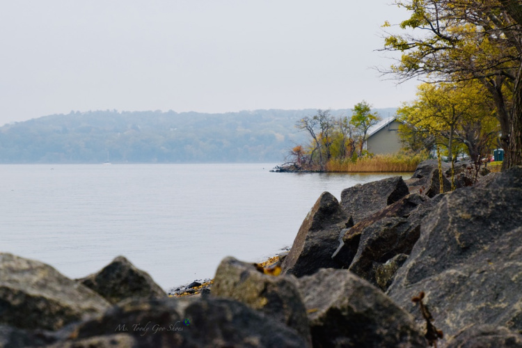 Ms. Toody Goo Shoes PIERMONT PIER THE FALL EDITION