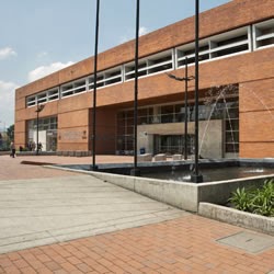 Biblioteca El Tunal