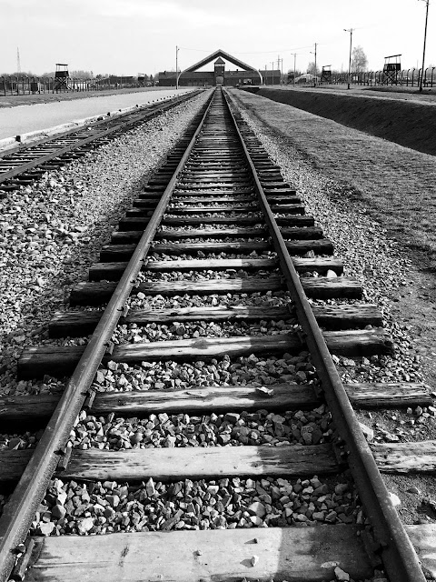 The tracks at Birkenau that lead straight to the gas chambers : My Visit To Auschwitz (and why you should visit too) 