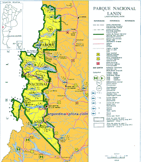 vivo parque nacional lanín-