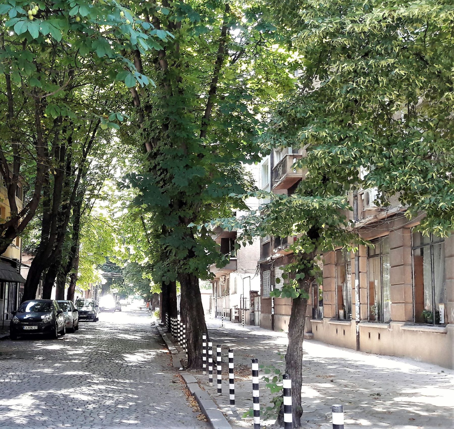 Cobbled stone road in Sofia