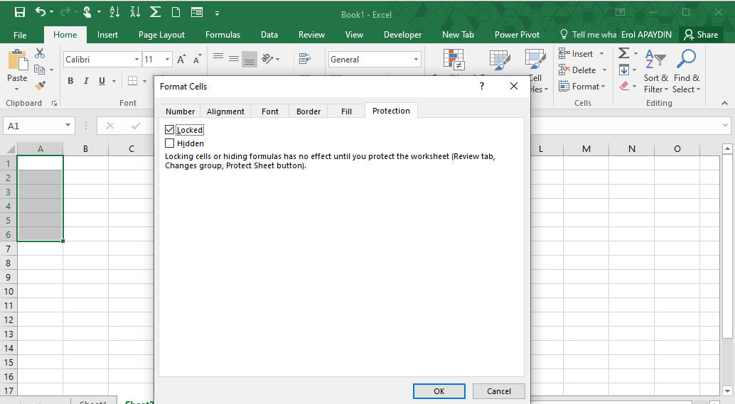 excel de hucreleri kilitleme excel exe