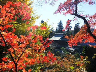  円覚寺の紅葉